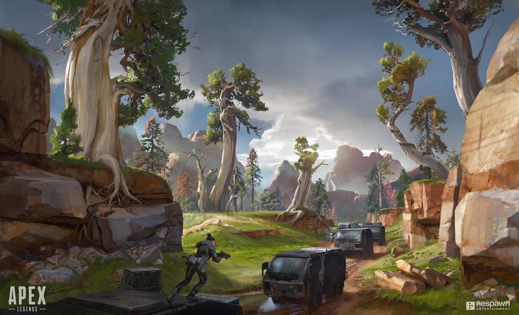 地区发展 地区发展