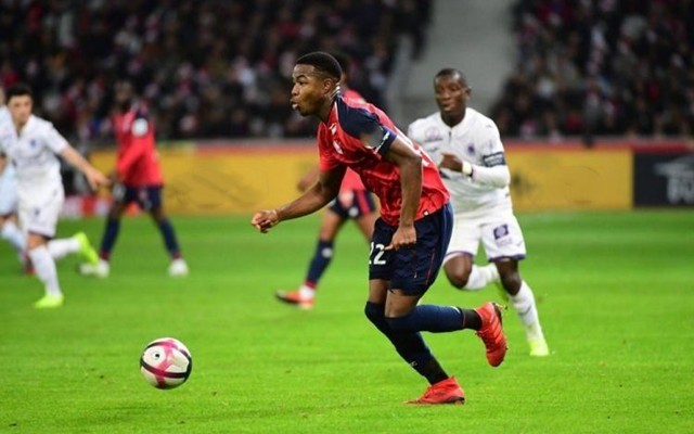 标签建议 标签建议